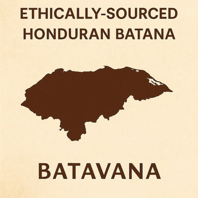 Honduran Batana Oil
